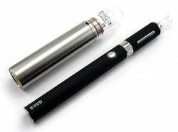 Atomizer Fishbone RDA