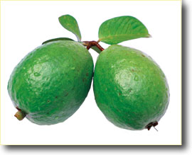 Guava