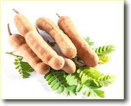 Tamarind