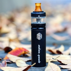 Geekvape Flint 1000mAh - Starter Kit
